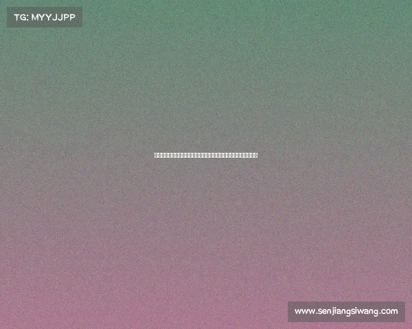 全面覆盖赛事统计数据并深入分析球员个人表现的核心数据中心平台