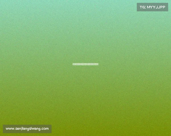 创新赛事观众组织管理实施方案优化策略